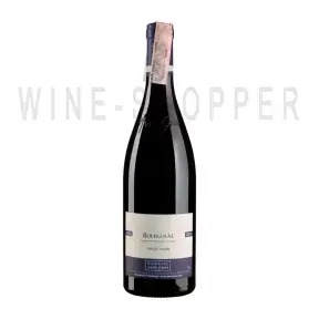 Вино Domaine Anne Gros Bourgogne Rouge AOC 2018 0.75 л