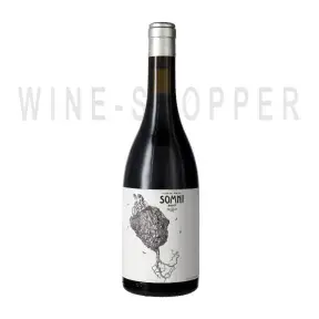 Вино Somni Priorat DOQ 2017 0.75 л