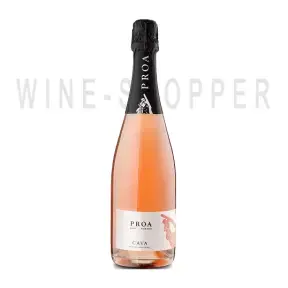 Игристое вино Proa Cava Brut Rosé D.O Cava 2021 0.75
