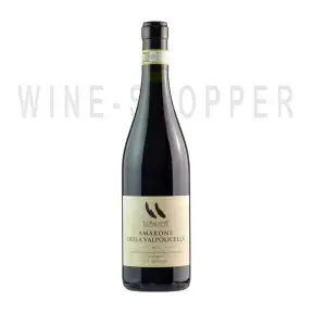 Вино Le Salette Amarone della Valpolicella DOCG Classico 2017 750 мл