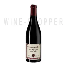 Вино Domaine Guy Amiot et Fils Bourgogne Pinot Noir AOC 2020 0.75 л