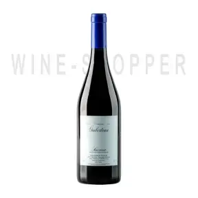Вино Domaine Guiberteau Saumur Rouge 2018 0.75 л