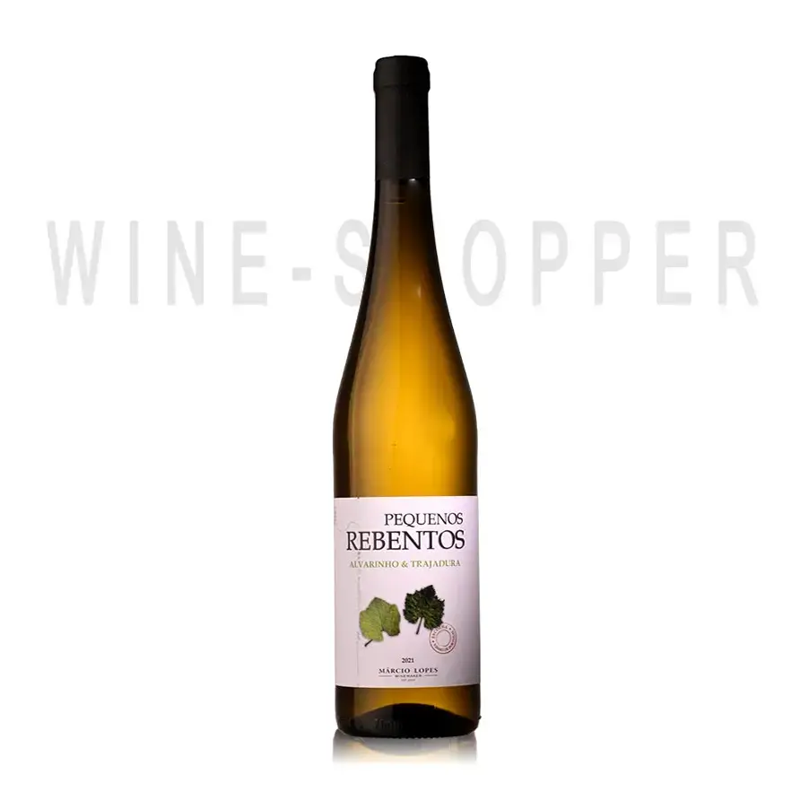 Вино Pequenos Rebentos Alvarinho-Trajadura Vinho Verde DOC 2021 0.75 л