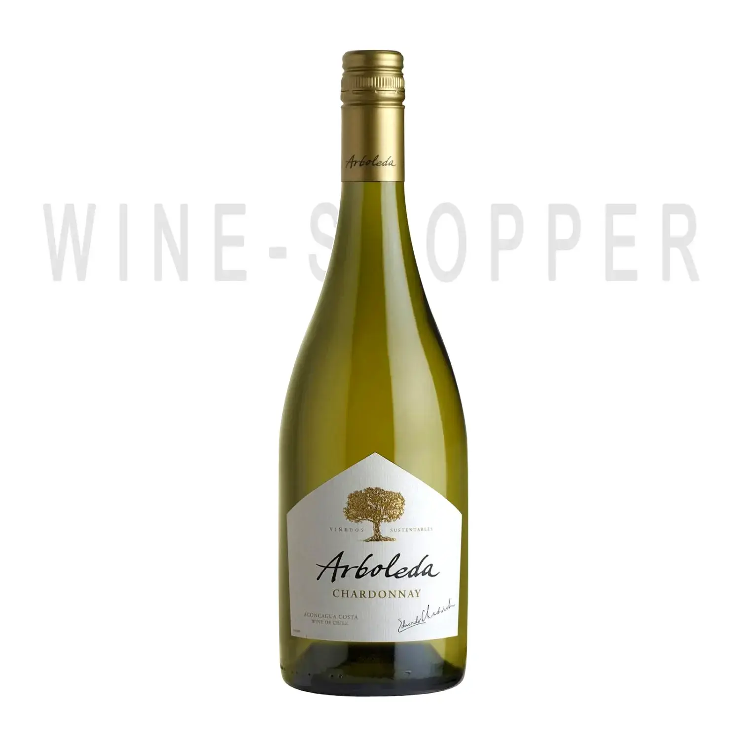 Вино Arboleda Chardonnay 2021 0.75 л