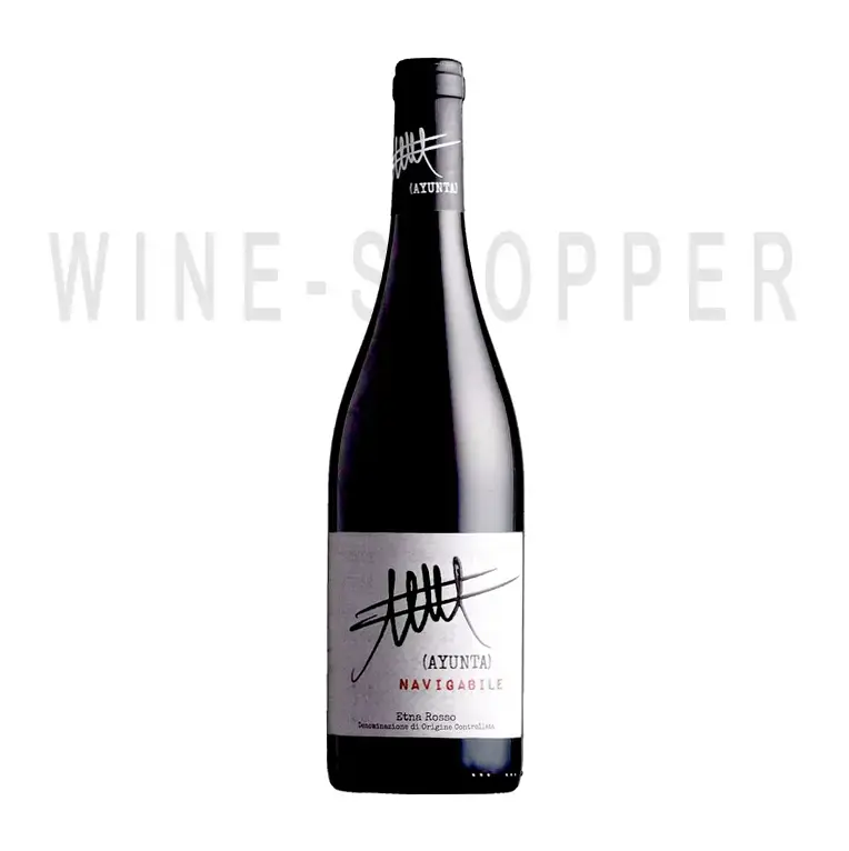Вино Ayunta Navigabile Etna Rosso DOC 0.75 л