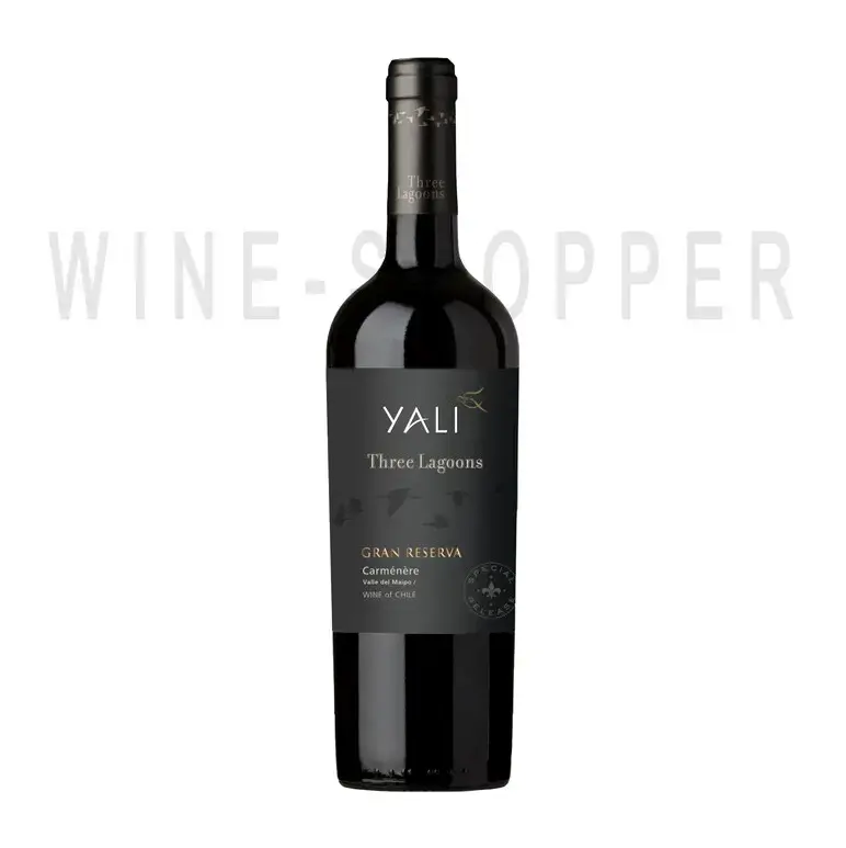 Вино Ventisquero Yali Three Lagoons Gran Reserva Carmenere Maipo Valley DO 2019 0.75 л