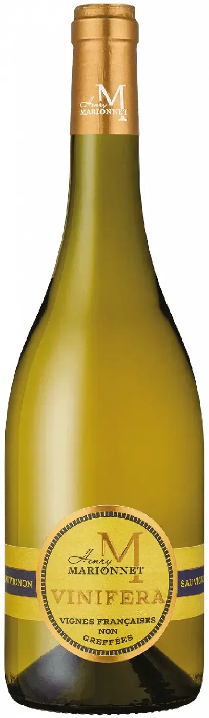 Вино Henry Marionnet, Vinifera Sauvignon, Touraine AOC, 2020, 0.75 л