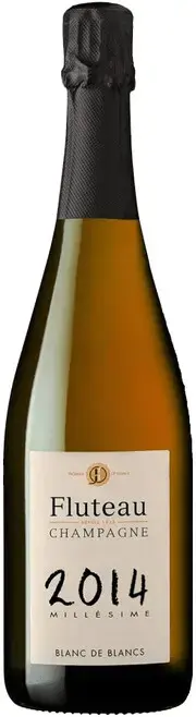 Шампанское Champagne Fluteau, Blanc de Blancs Millesime, Champagne AOC, 2014, 0.75 л