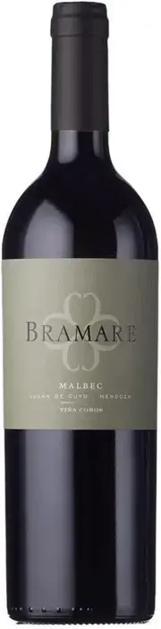 Вино Vina Cobos Bramare Malbec, Lujan de Cuyo, 2020, 0.75 л