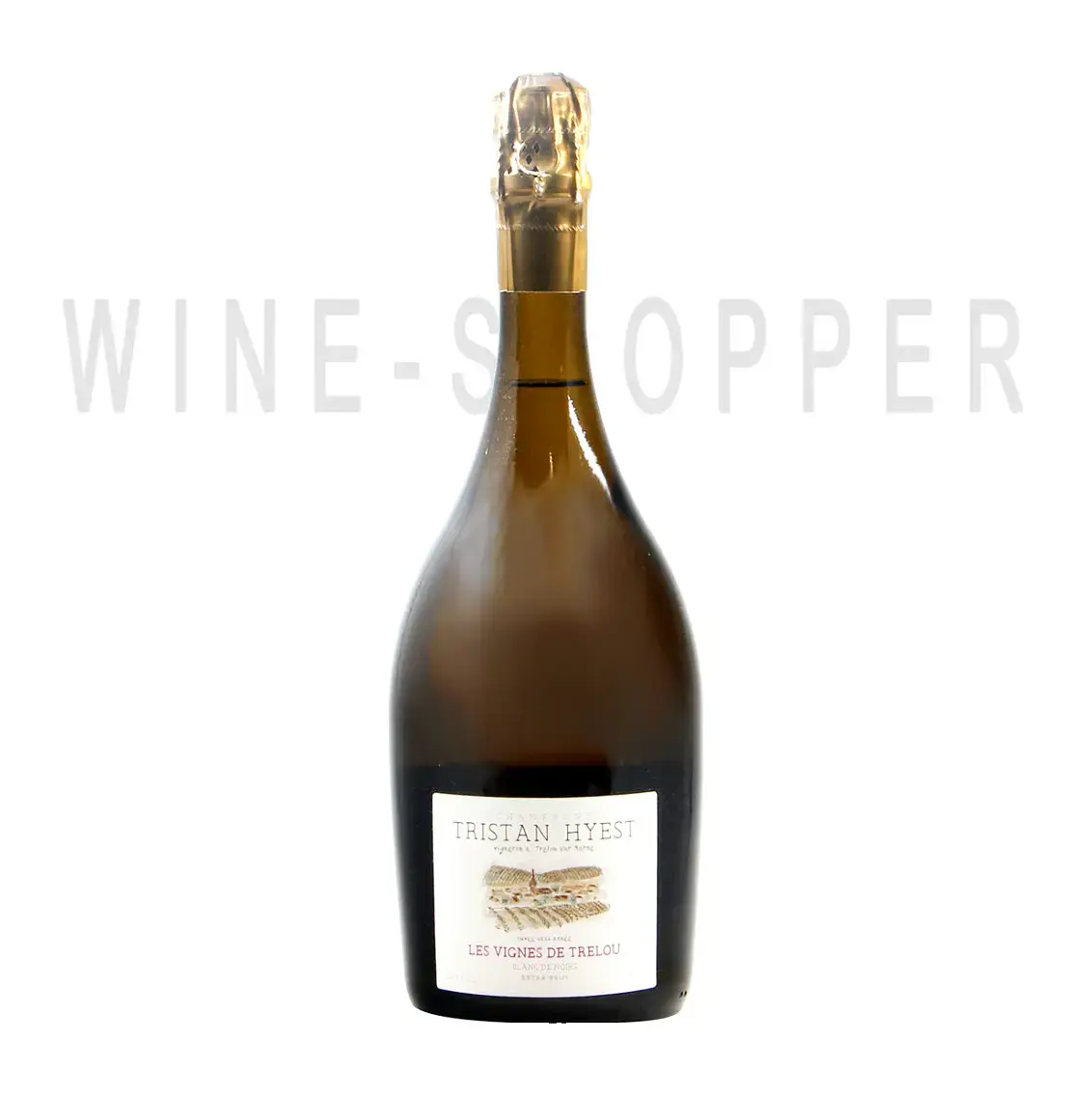 Шампанское Tristan Hyest Les Vignes de Trelou Extra Brut 0.75 л