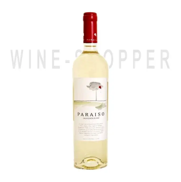 Вино Bodegas y Vinedos de Aguirre Paraiso Sauvignon Blanc 0.75 л