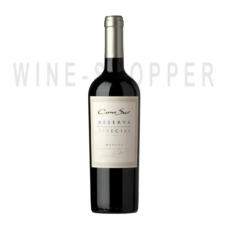 Вино Cono Sur Reserva Especial Merlot 2017 0.75 л