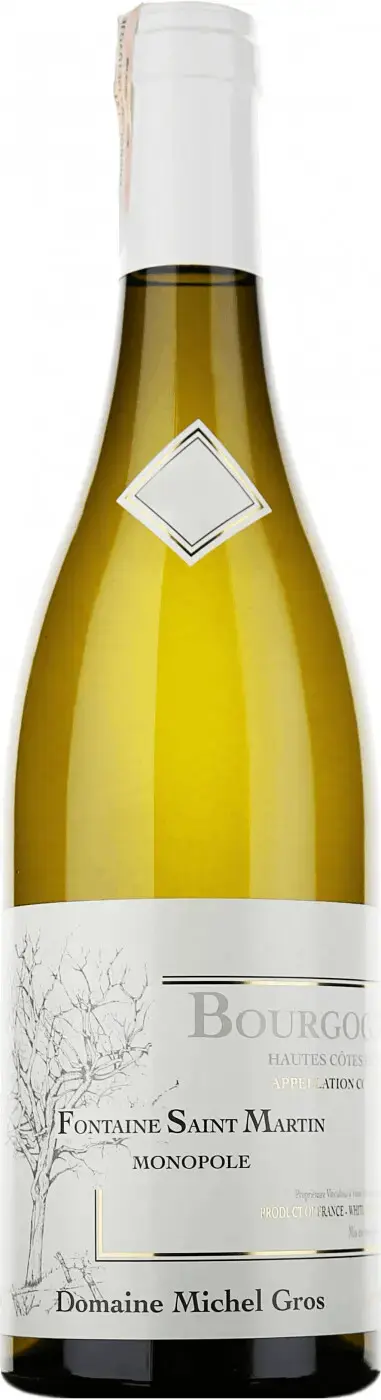 Вино Domaine Michel Gros Bourgogne Hautes Cotes de Nuits Fontaine Saint Martin Blanc, 2020, 0.75 л