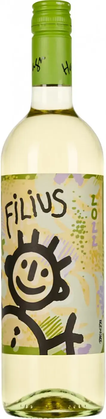 Вино Weingut Hagn Filius Gruner Veltliner 2022 0.75 л