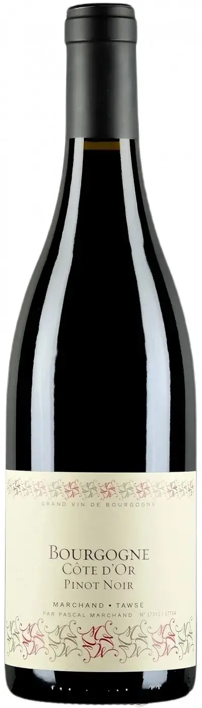 Вино Marchand-Tawse Bourgogne Cote d'Or Pinot Noir AOC, 2021, 0.75 л
