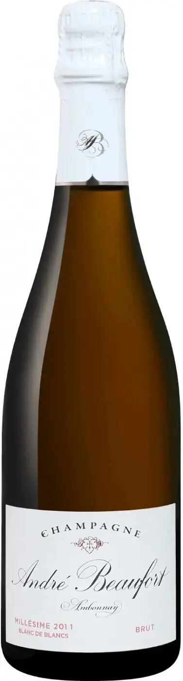 Шампанское Andre Beaufort Ambonnay Millesime Blanc de Blancs Champagne AOC, 0.75 л
