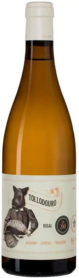 Вино Adegas Tollodouro Tollodouro Rias Baixas DO, 2022, 0.75 л