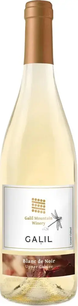 Вино Galil Mountain Blanc de Noir, 2021, 0.75 л