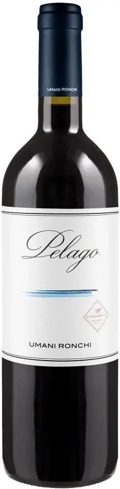 Вино Pelago Marche Rosso IGT, 2019, 0.75 л