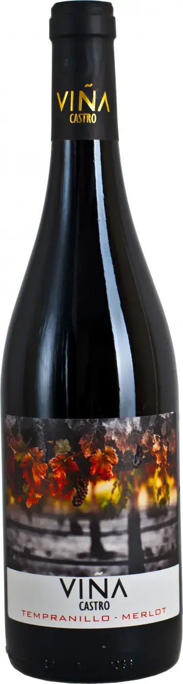 Вино Vina Castro Tempranillo-Merlot, 2021, 0.75
