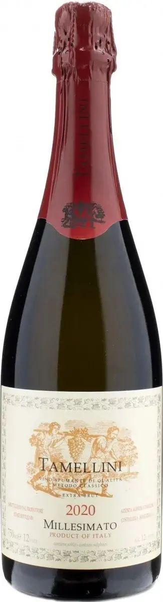 Игристое вино Tamellini Millesimato Extra Brut, 2020, 0.75л