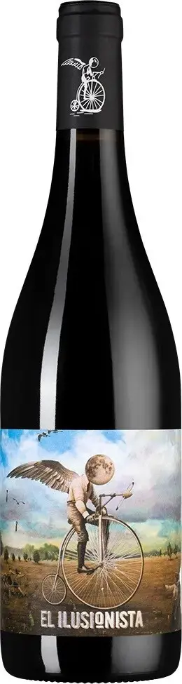 Вино Adegas Tollodouro El Ilusionista Joven Ribera del Duero DO, 2023, 0.75 л