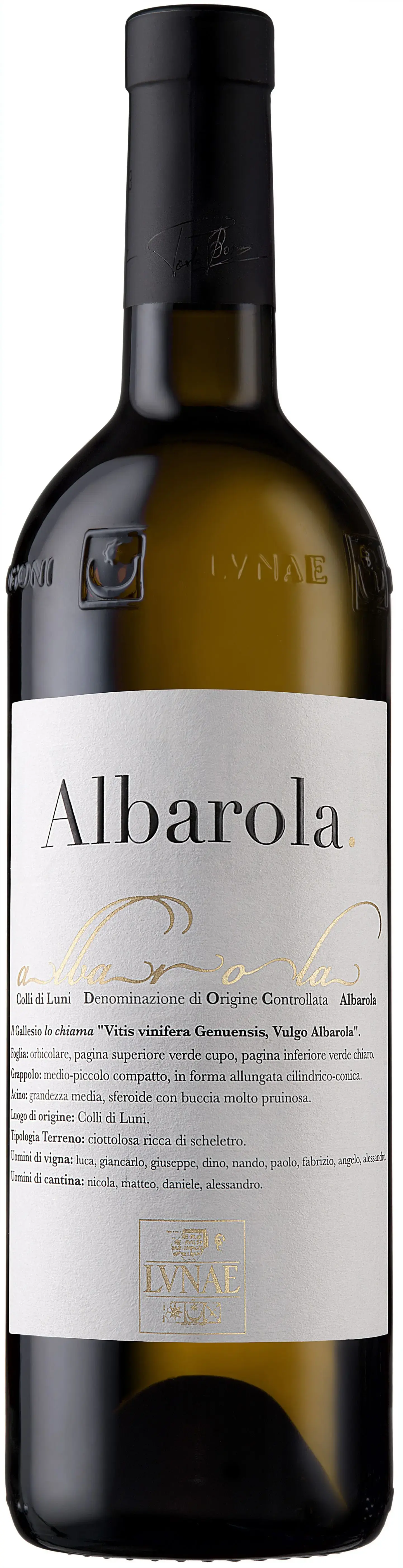 Вино Cantine Lunae Albarola Colli di Luni DOC, 2023, 0.75 л
