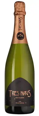 Вино игристое Cellers Domenys Tres Naus Brut Reserva, 2018, 0.75 л