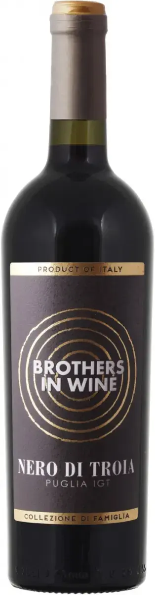 Вино Brothers in Wine Nero di Troia Puglia IGT, 2020, 0.75 л