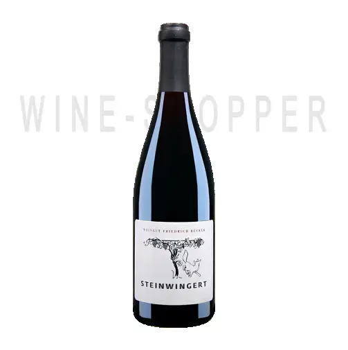 Вино Friedrich Becker Steinwingert Spatburgunder Pfalz DQ 2010 1.5 л
