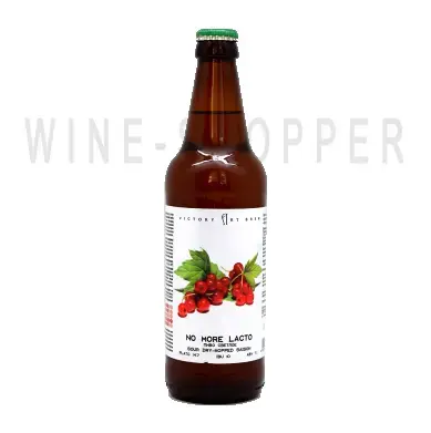 Пиво Victory Art Brew No More Lacto 0.5 л