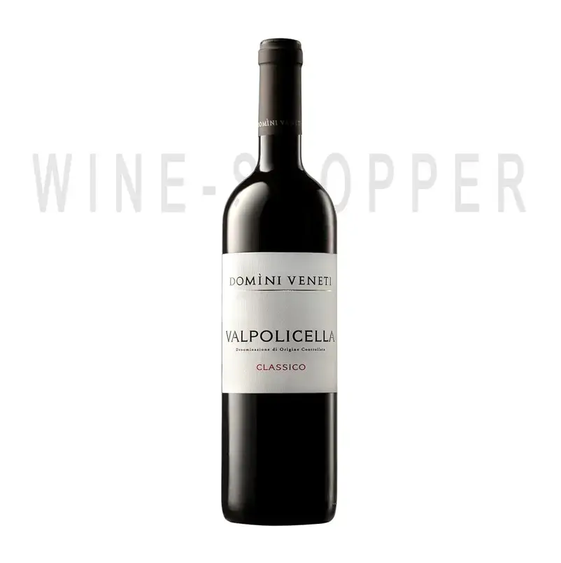 Вино Valpolicella Classico Domini Veneti 2017 0.75 л
