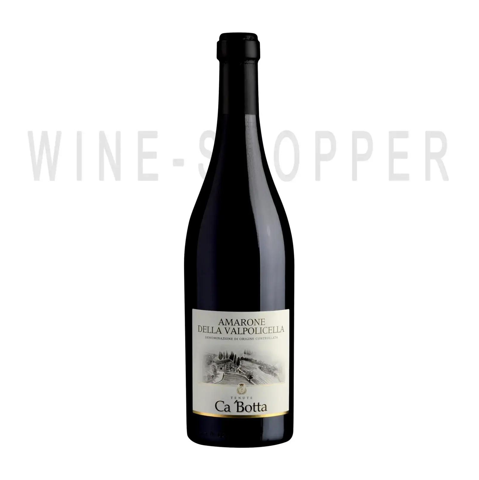 Вино Ca'Botta Amarone della Valpolicella DOC 2009 0.75 л