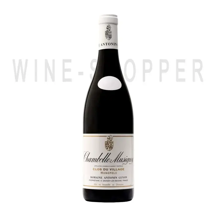 Вино Chambolle-Musigny Clos du Village 2016 1.5 л