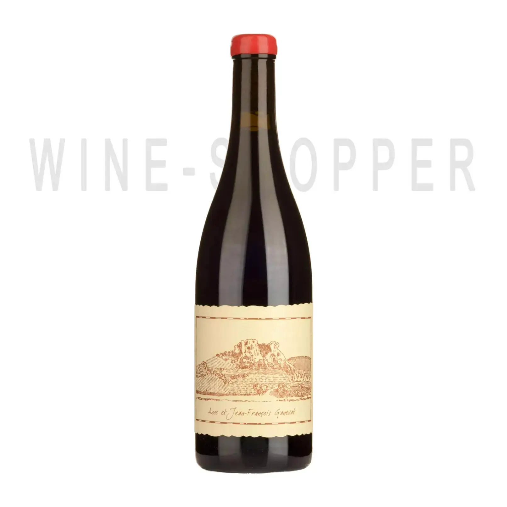 Вино Anne et Jean-Francois Ganevat, Les Chonchons Poulsard, Cotes du Jura AOC 2018 0.75 л