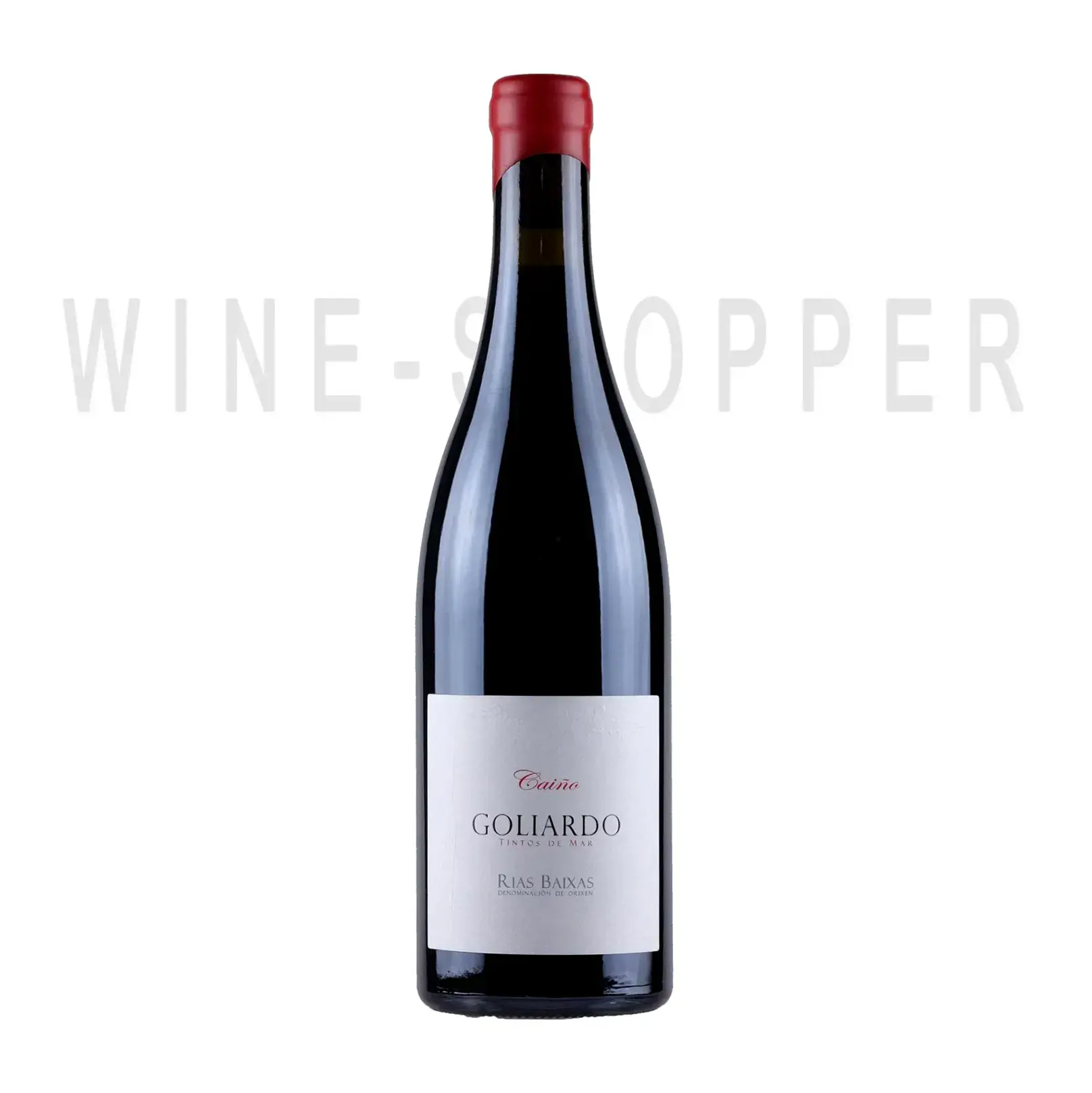 Вино Forjas Del Salnes, Goliardo, Rias Baixas DO 2013 0.75 л