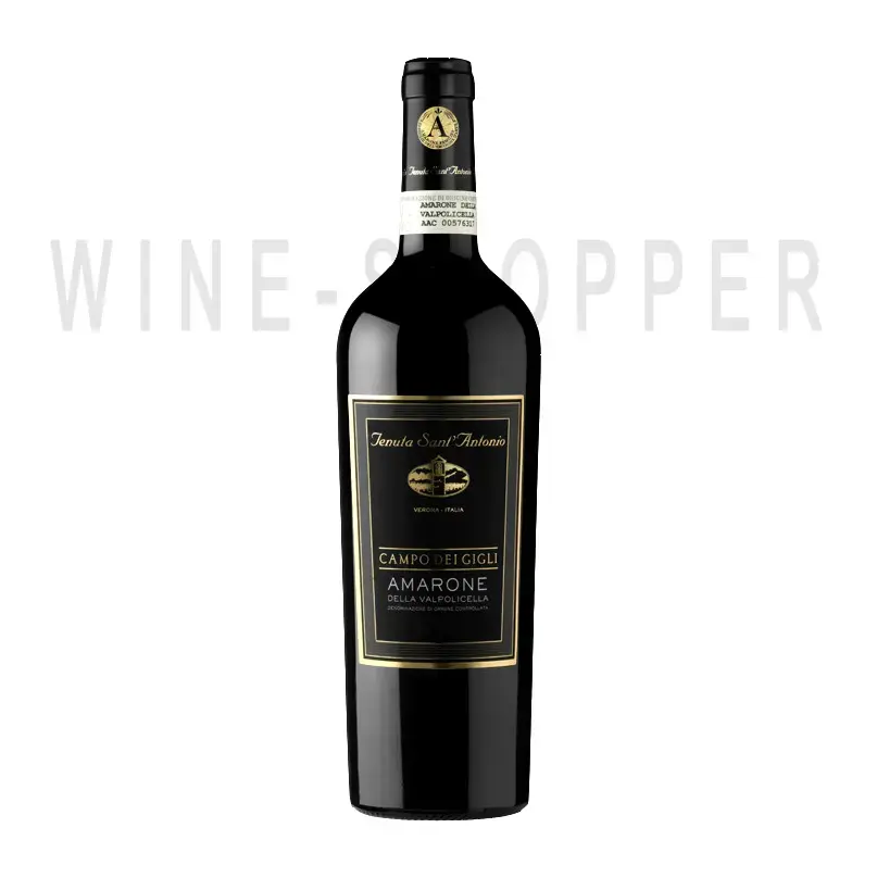 Вино Tenuta Sant'Antonio, Campo dei Gigli, Amarone della Valpolicella DOC 2010 0.75 л