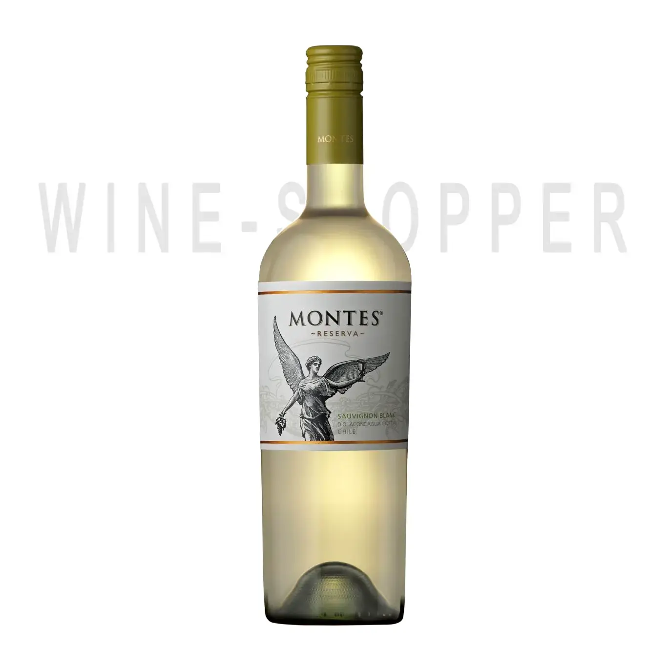 Вино Montes Reserva Sauvignon Blanc Curico Valley 2019 0.75 л