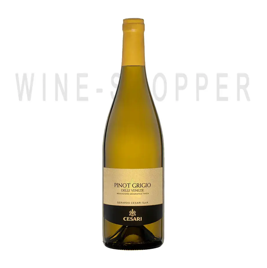 Вино Gerardo Cesari Pinot Grigio delle Venezie IGT 2020 0.75 л