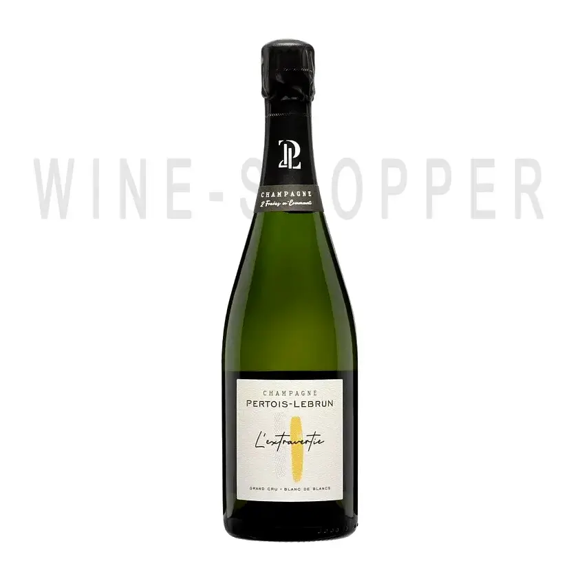 Шампанское Champagne Pertois-Lebrun L'extravertie Blanc de Blancs Extra Brut Champagne Grand Cru AOC 2015 3 л