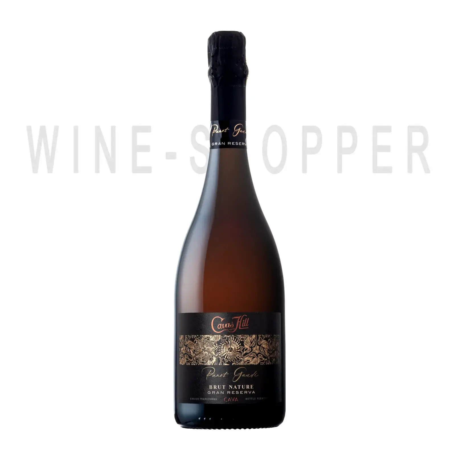 Игристое вино Cavas Hill Panot Gaudi Gran Reserva Brut Nature Cava DO 2016 0.75 л