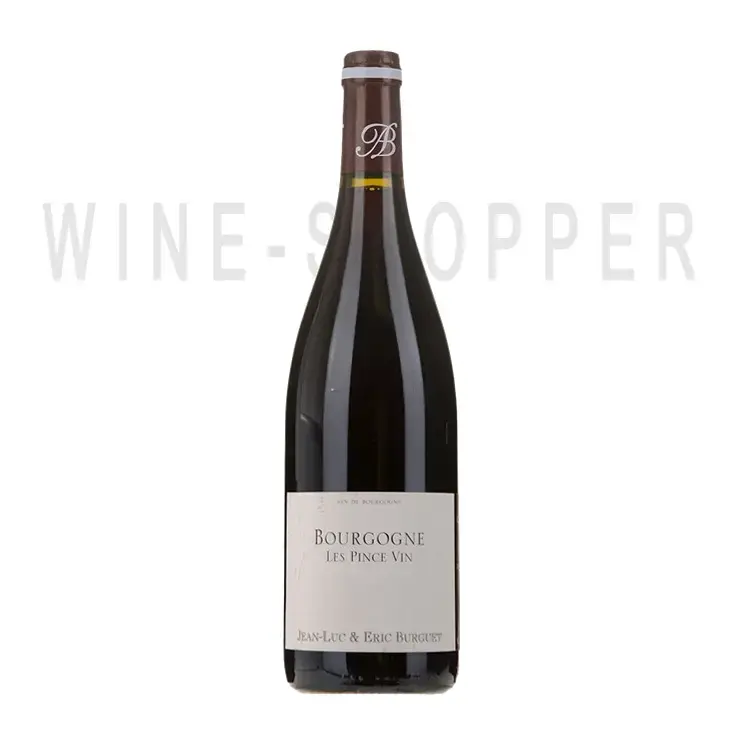 Вино Alain Burguet Bourgogne Les Pince Vin 2019 0.75 л