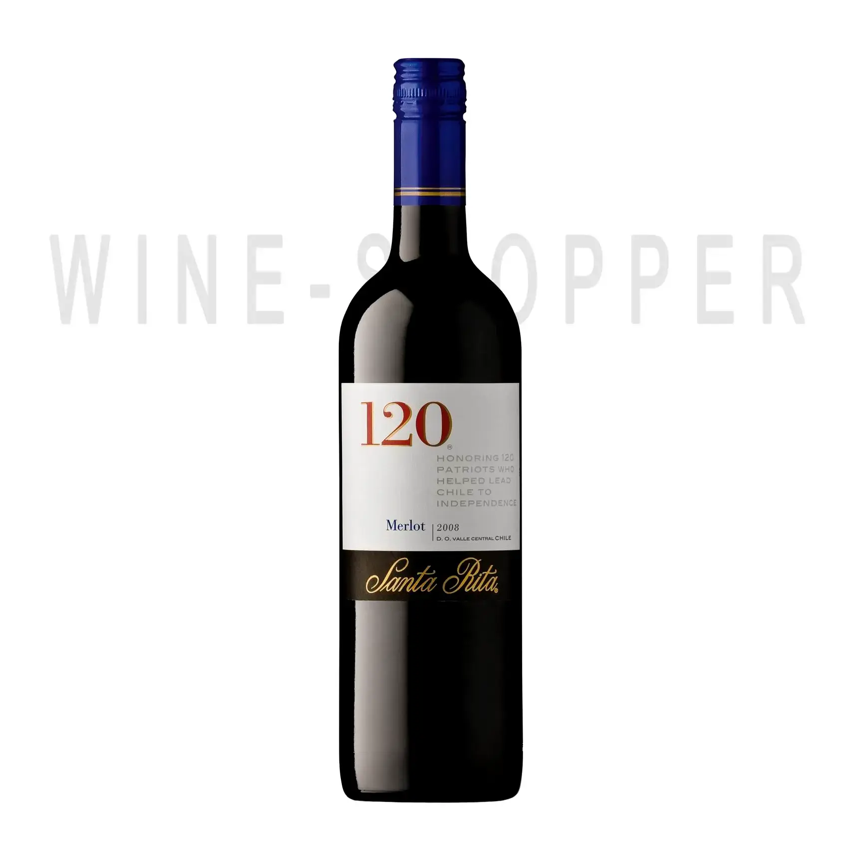 Вино Merlot Valle Central 120 Santa Rita 2008 0.75 л