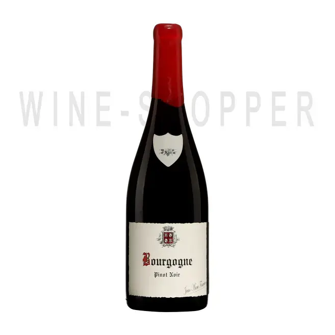 Вино Domaine Fourrier Jean-Marie Fourrier Bourgogne Rouge 2019 0.75 л