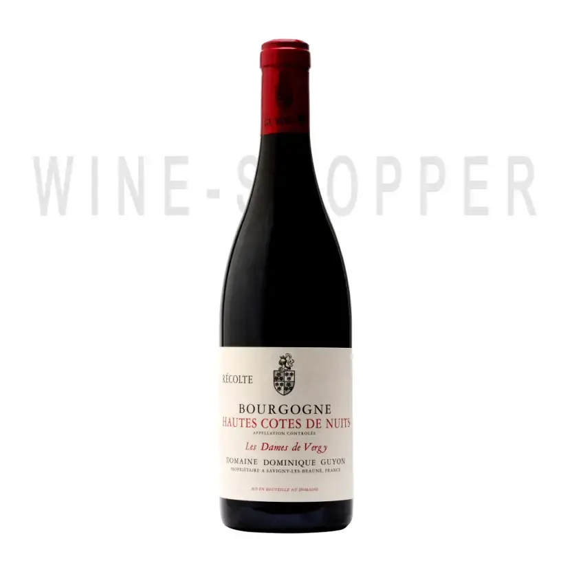 Вино Domaine Antonin Guyon Bourgogne Hautes Cotes de Nuits Les Dames de Vergy AOC 2019 0.75 л