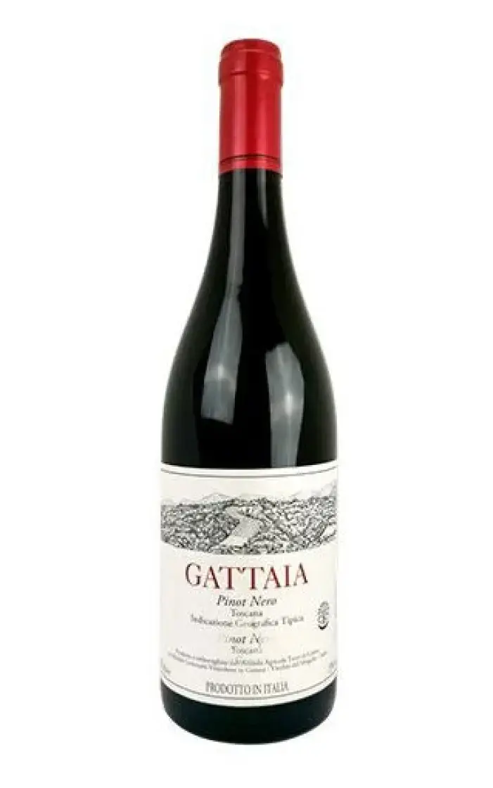 Вино Terre di Giotto Gattaia Pinot Nero Toscana IGT 2018 0.75л