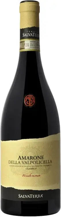 Вино SalvaTerra Amarone della Valpolicella Classico DOCG 2017 0.75 л