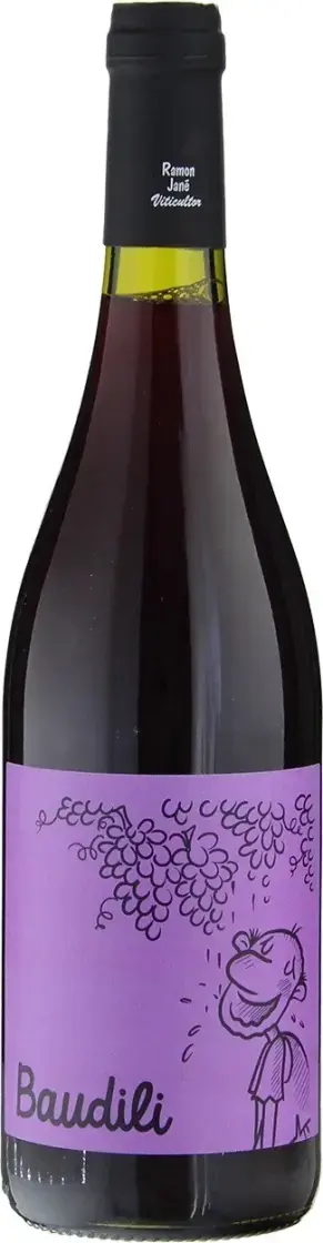 Вино Mas Candi Baudili Tinto, 2022, 0.75 л