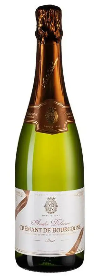 Игристое вино Cremant de Bourgogne Brut Andre Delorme, 0.75 л