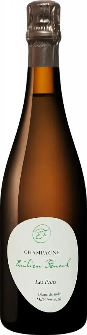 Шампанское Emilien Feneuil Les Puits Premier Cru Blanc de Noir Dosage Zero Champagne AOC, 2016, 0.75 л